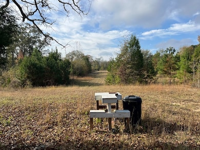 13962 Alabama 95, Abbeville, AL 36310 - photo 3