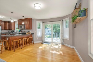 228 Mount Delight Rd, Deerfield, NH 03037 - photo 5