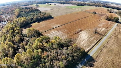 294 James Price Rd, Seven Springs, NC 28578 - photo 3