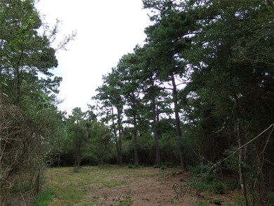 30320 Hegar Rd, Hockley, TX 77447 - photo 4