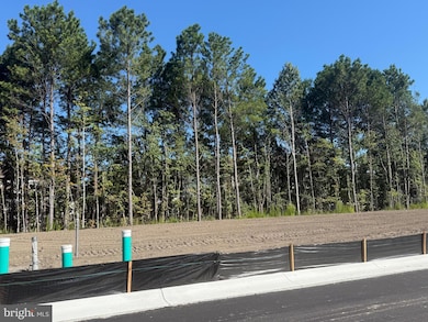 36041 Jackson St, Ocean View, DE 19970 - photo 6