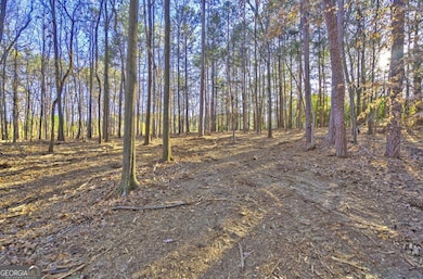 Lot1 Powderbag Creek Rd, Hartwell, GA 30643 - photo 4