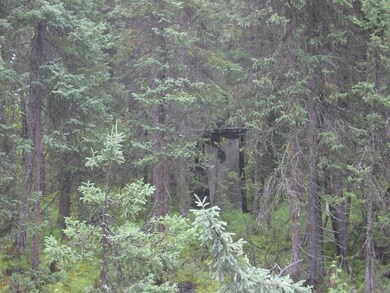 Outhouse in the woods