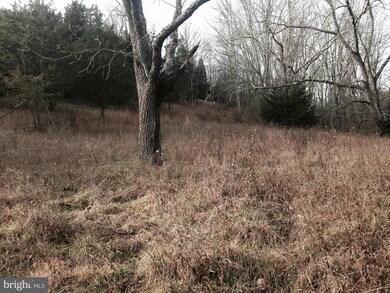 0 Moyers Gap Rd unit 1002486108, Sugar Grove, WV 26815 - photo 5