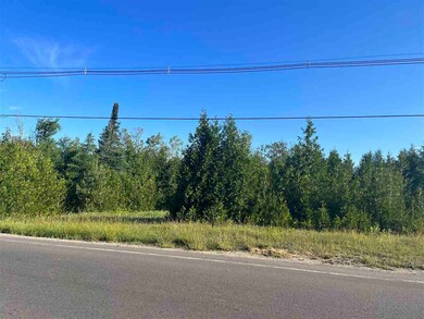 TBD Atkins & Division Roads, Petoskey, MI 49770 - photo 5