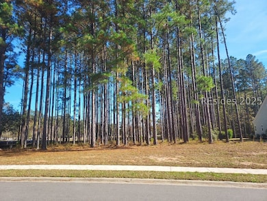 379 Azalea Dr, Hardeeville, SC 29927 - photo 5