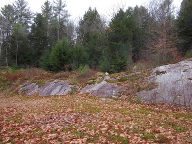 805 Wellington Hill Rd E, Putney, VT 05346 - photo 4