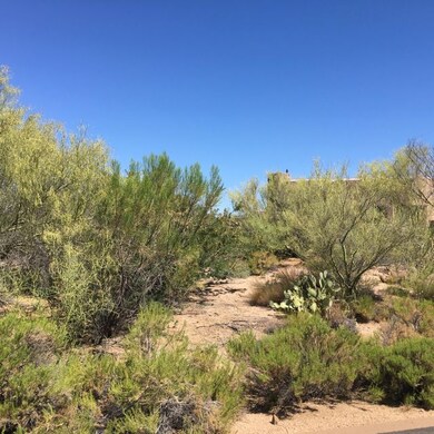 DesertMountain1