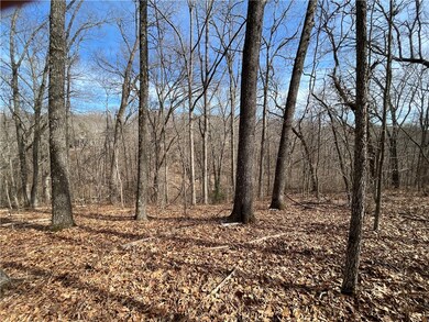 0 Hollow Way Dr, Bella Vista, AR 72715 - photo 5