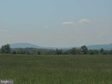 8411 Salem Ave, Marshall, VA 20115 - photo 5