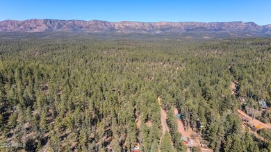 11180 N Houton Mesa Rd unit 77, Payson, AZ 85541 - photo 7