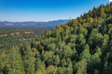 NKA Bodie Canyon Rd, Priest River, ID 83856 - photo 2