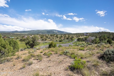 221 Chaparral Ranch Rd-002-003-Neighborh