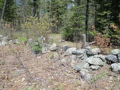 Land/Lot.