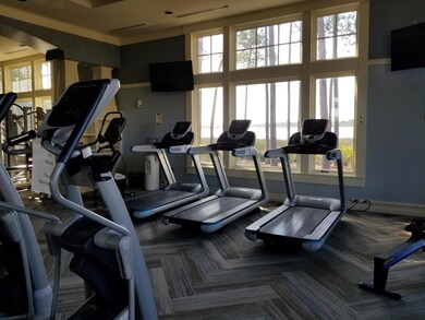 Wildherongym over lake