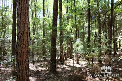 Coates Road (Off), Bonifay, FL 32425 - photo 2