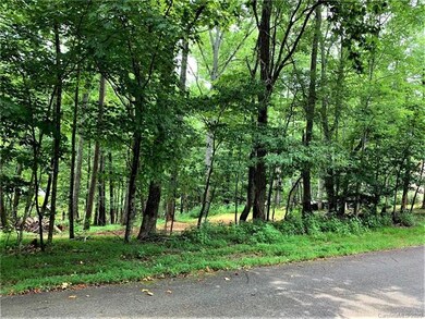 37 Wolf River Ln unit 37, Lake Lure, NC 28746 - photo 6