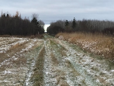 0000 Michigan 48, Rudyard, MI 49780 - photo 2