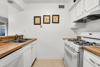 150 E Fountainview Ln unit 3B, Lombard, IL 60148 - photo 3