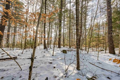 505 Shirley Hill Rd unit A, Goffstown, NH 03045 - photo 7