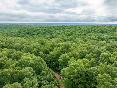 00 Red Fox Rd, Hardy, AR 72542 - photo 5