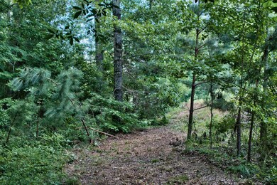 1190 Waterstone Dr, Madison, GA 30650 - photo 5