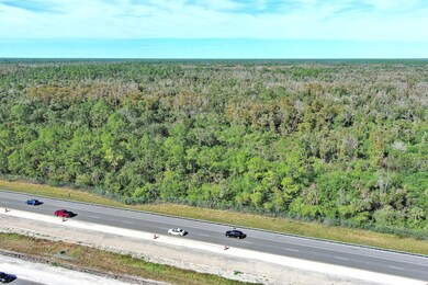 Alligator Alley, Naples, FL 34117 - photo 7