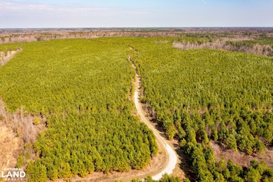 0 Mapleton Rd, Murfreesboro, NC 27855 - photo 3