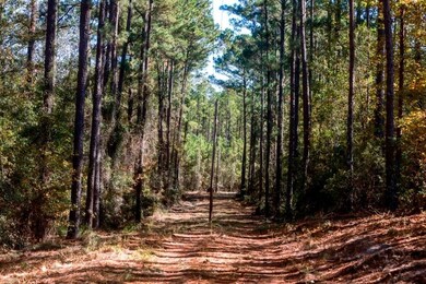 0 Anderson Rd unit 25641559, Statesboro, GA 30458 - photo 7