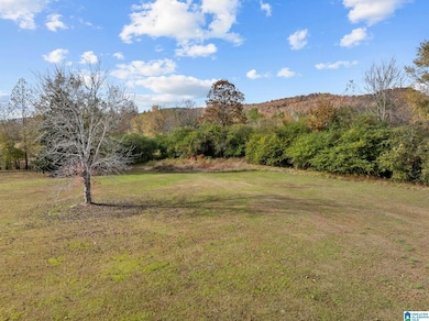 00 Armstrong Rd, Ashville, AL 35953 - photo 3