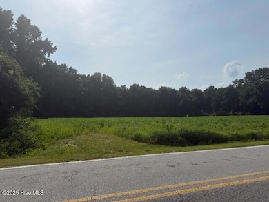 0 Wise Store Rd Lot 3, Murfreesboro, NC 27855 - photo 2