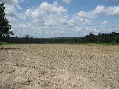 0 Craig Mill Rd unit 1503990, Lunenburg, VA 23944 - photo 3