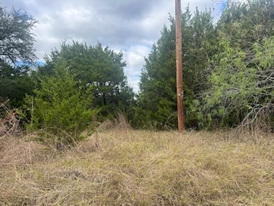 1533 White Bluff Dr, Whitney, TX 76692 - photo 5