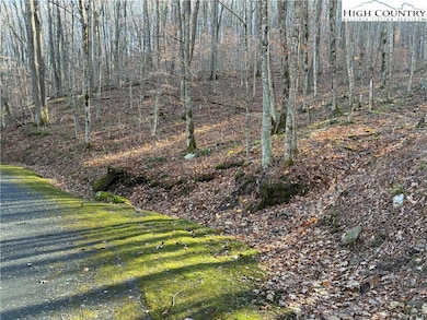 TBD Wolfsbane Trail, Todd, NC 28684 - photo 2