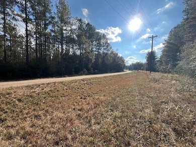 25 ac Smyrna Rd, Florala, AL 36442 - photo 2