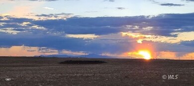 Summer Sunset