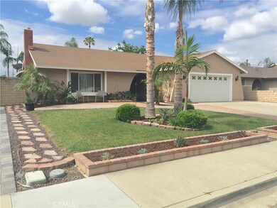 Manicured front yard