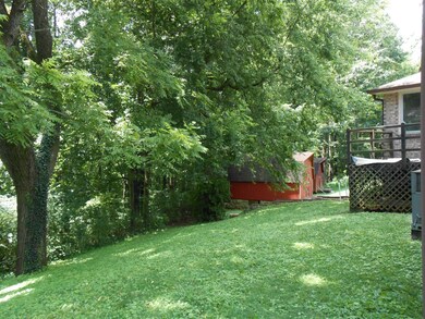 View of the back Yard