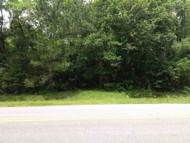 9785 E Deep Creek Blvd, Hastings, FL 32145 - photo 6