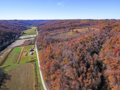 TBD Kentucky 377, Trinity, KY 41179 - photo 4