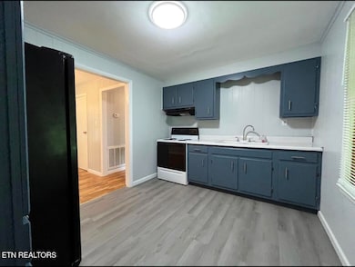 3009 Cox Ln unit A, Knoxville, TN 37914 - photo 5