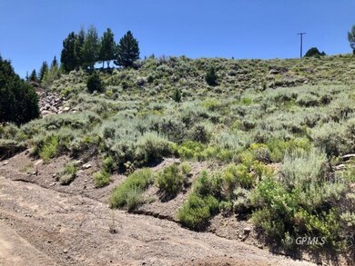 Bottom of Lot