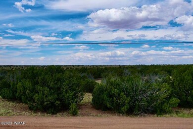 IMG-3949