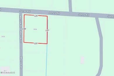 Screen Shot 2025-01-31 at 3.19.08 PM