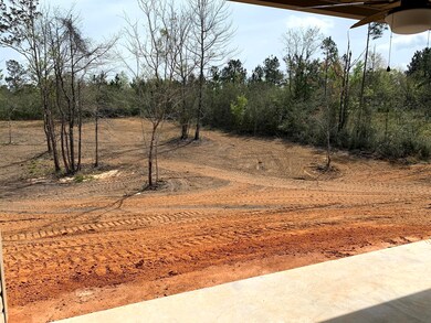 Back Porch View