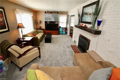 New plush carpeting
