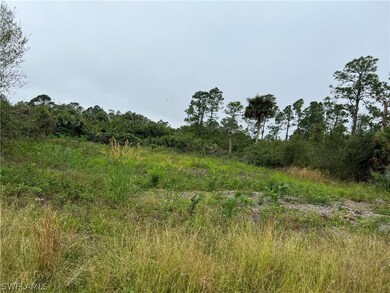 1244 Howell St E, Lehigh Acres, FL 33974 - photo 2