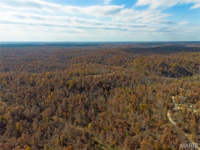 15682 Winding Trail, Birch Tree, MO 65438 - photo 2