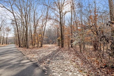 0 Rustling Oaks Dr, Waverly, TN 37185 - photo 4