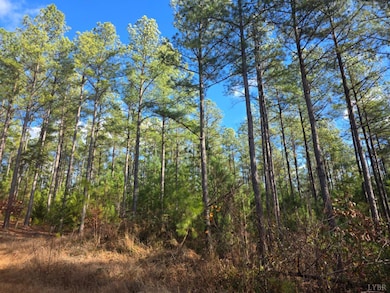 0 Norwood Rd unit 363393, Gladstone, VA 24553 - photo 3